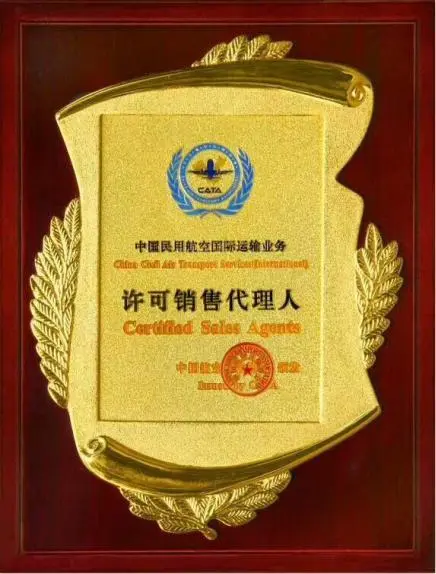 青岛荣誉证书
